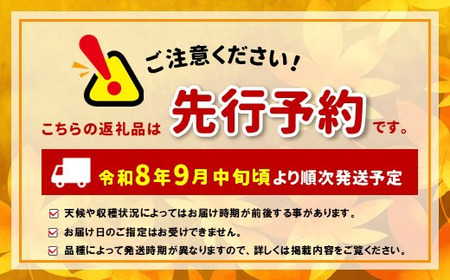【先行予約】信州産 ナガノパープル、シャインマスカットのセット 約1kg (2房)
