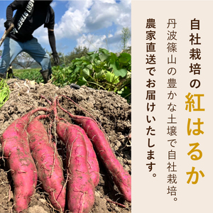 無添加 丹波篠山市産 紅はるか 干し芋 1kg | さつまいも サツマイモ さつま芋 甘い ホクホク 熟成 甘い 柔らか おいしい 美味しい ねっとり 食物繊維 美容 スイーツ 国産 CU15 冷凍配送 冷凍食品