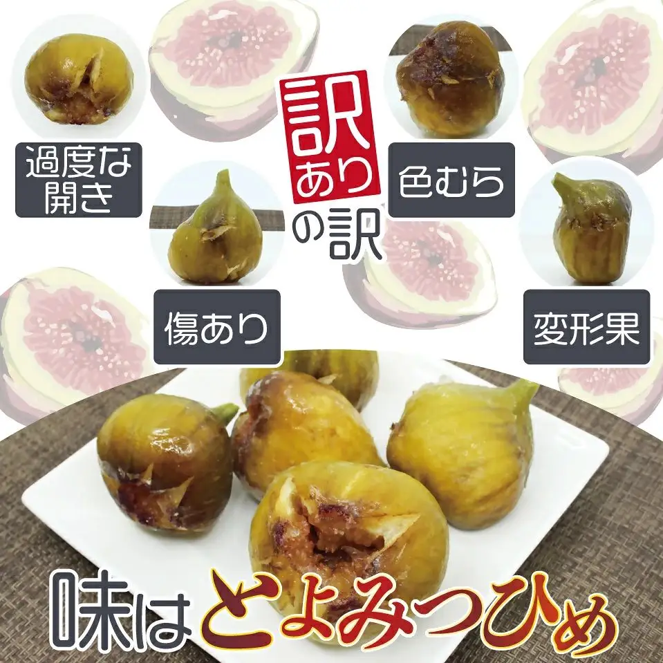 訳あり冷凍いちじく「とよみつひめ」3kg【JAほたるの里】_HA1678