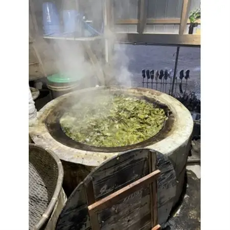 フルーツ日本茶スパークリングティーセット【1375296】
