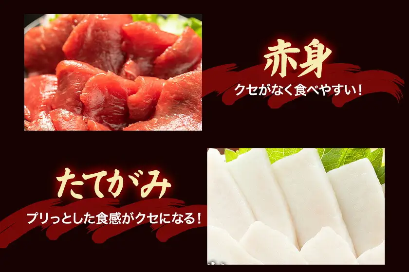 馬肉 馬刺し 赤身 たてがみ セット 530g 高椋畜産《60日以内に出荷予定(土日祝除く)》