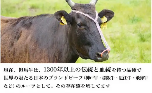但馬牛 焼肉用 500g / モモ 肩 牛肉 焼肉 霜降り 赤身 但馬牛 黒毛和牛 和牛 国産牛 焼き肉 牛 肉 やきにく 【JAたじま 肉の店本店】