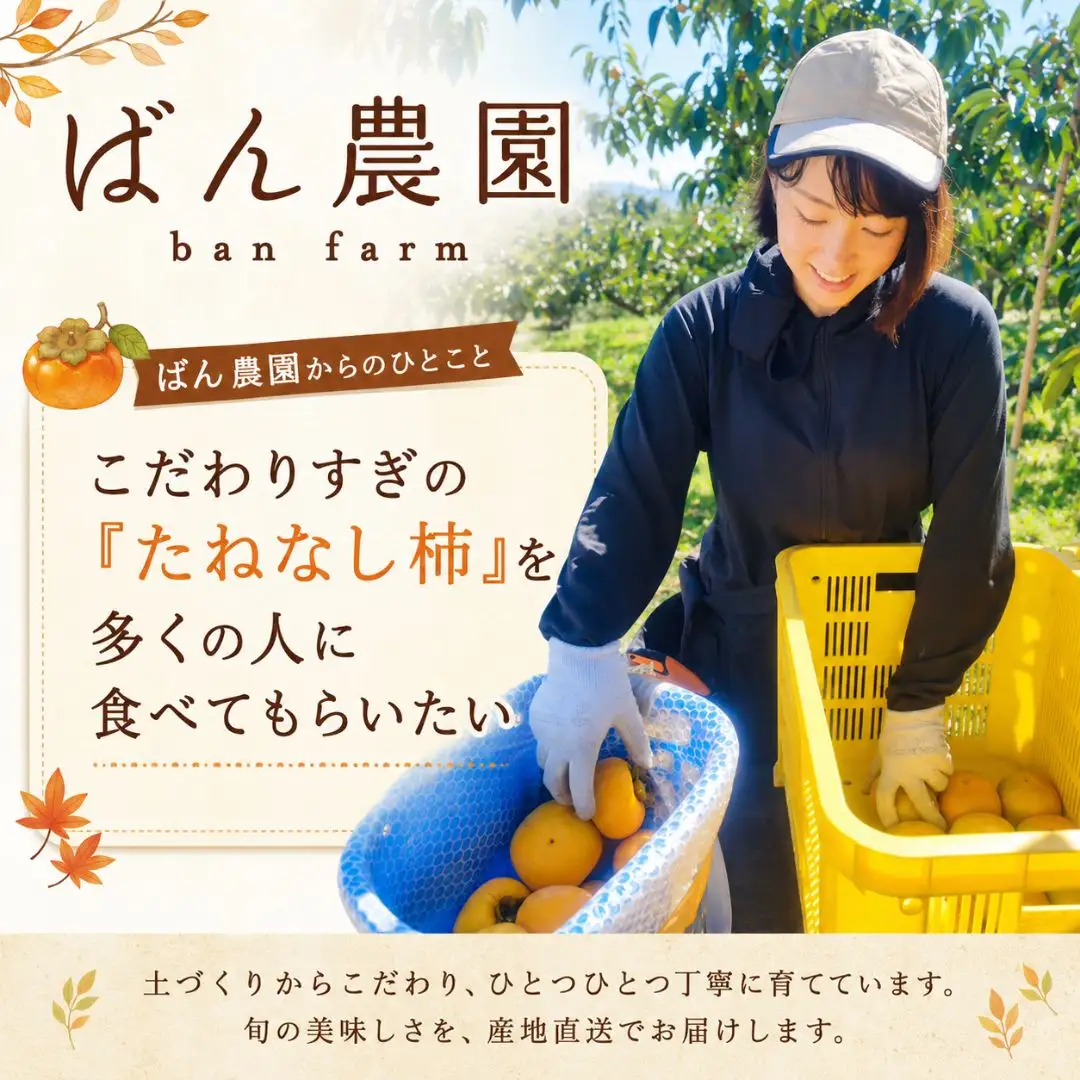 柿 たねなし柿 10kg 訳あり