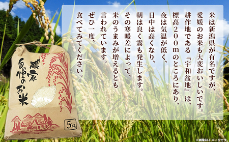 ＜令和7年産 西予市宇和町産 特別栽培米 コシヒカリ 約5kg＞ お米 コメ こめ 白米 精米 ご飯 穀物 こしひかり 西予米NO.1コンテスト 優秀賞 特産品 愛媛県産 西予市産 時谷ファーム 愛媛県 西予市 【常温】UTF0003