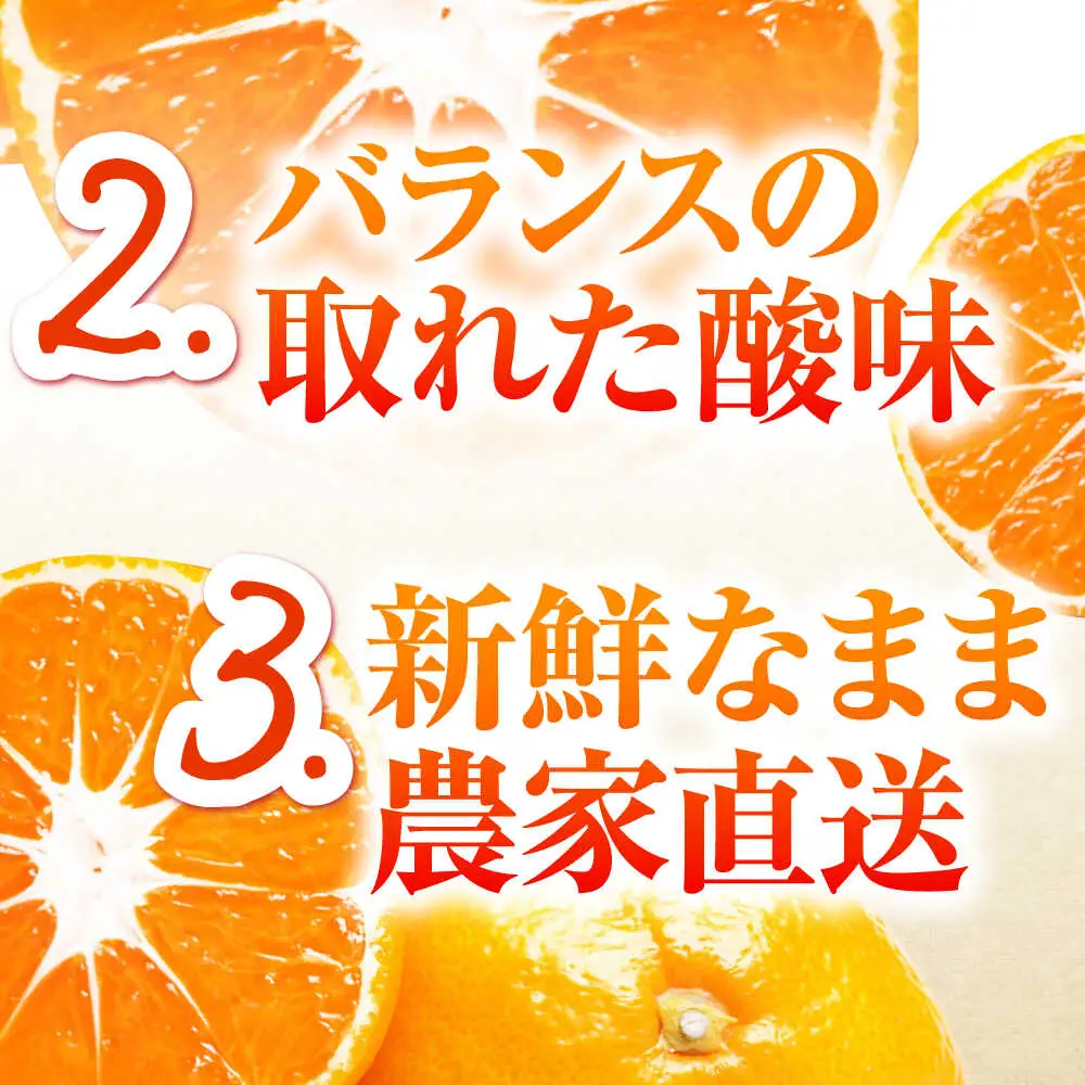 【2027年1月-発送】青島 温州みかん 10kg [SCQ003] みかん