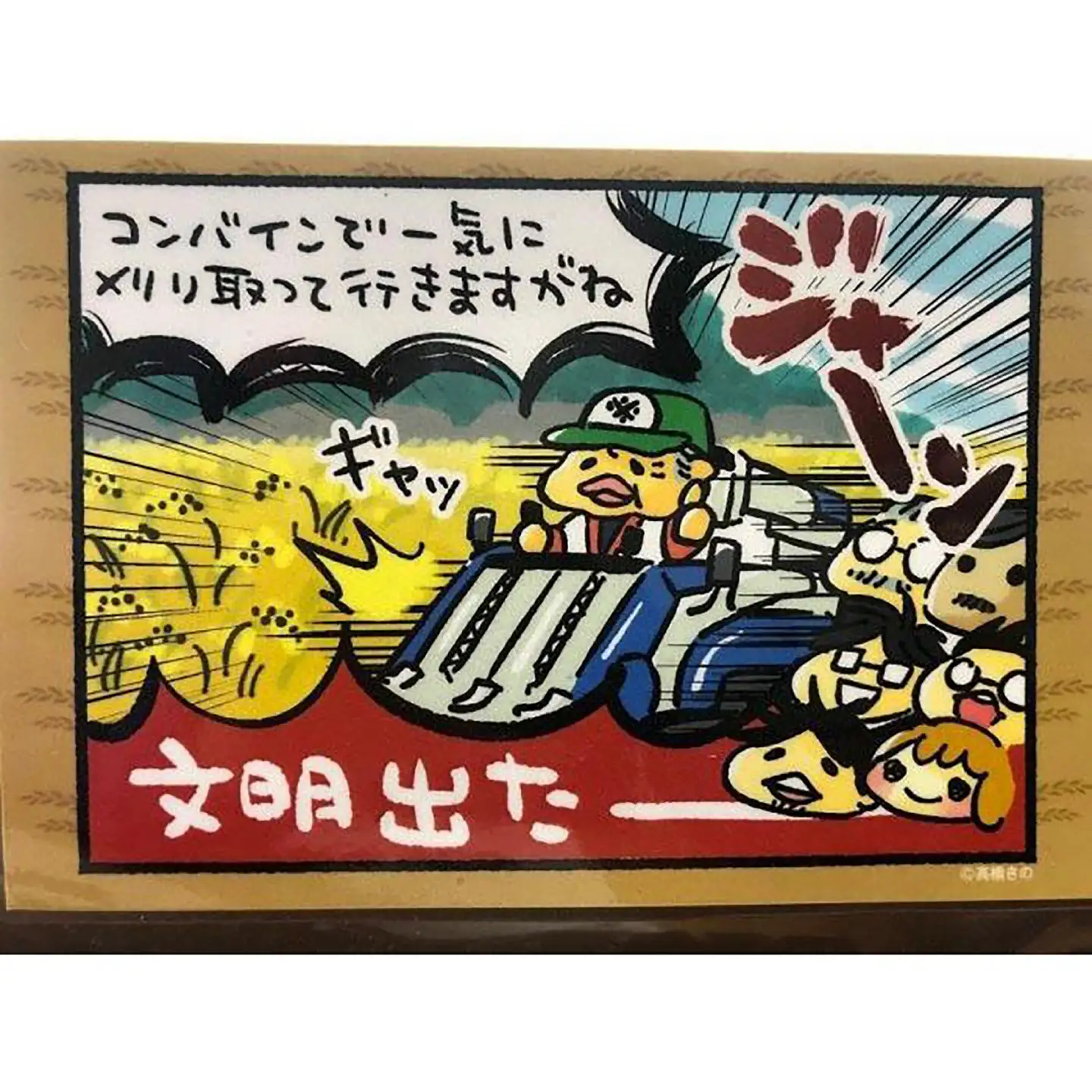 農薬節減！ R8年度産 特別栽培米 白鷺ケラケラ米 コシヒカリ 約10kg 〈2026年9月中旬~発送〉 / 高知 米 お米 精米　【津ノ宮農園】[ATBV020]