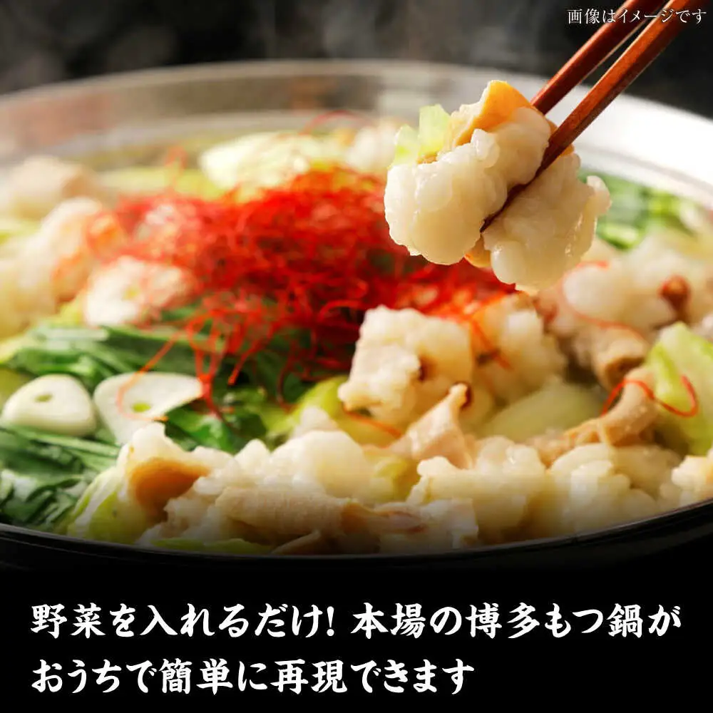 【全2回定期便】博多 味噌 もつ鍋 2人前 と 辛子明太子 (切子) 1個セット [VDZ104] もつなべ バラ 明太子