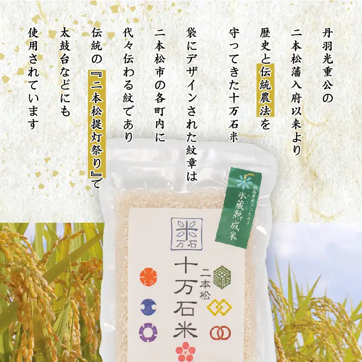 米 令和7年産 コシヒカリ 二本松十万石米 精米5kg【株式会社Y&Tカンパニー】