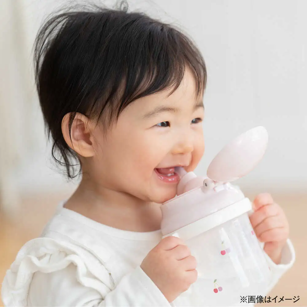 い・ろ・は・す 天然水 2L×6本 ドリンク BHAO002 ドリンク