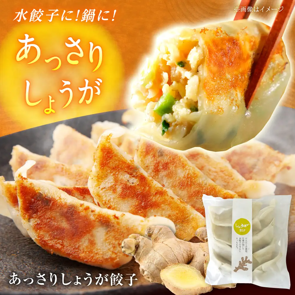 【ふるなびWEEK対象】餃子屋ヒロの3種食べ比べセット 餃子 ぎょうざ[BDAS002] 