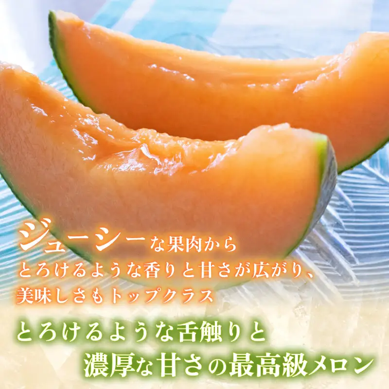 【先行予約】アールスメロン 2玉（約3.2kg以上）赤肉品種 高級メロン！ ／ マスクメロン 大玉 果物 フルーツ 夏 ギフト 農家直送 ※2027年6月下旬以降順次発送 [aw065-a014]
