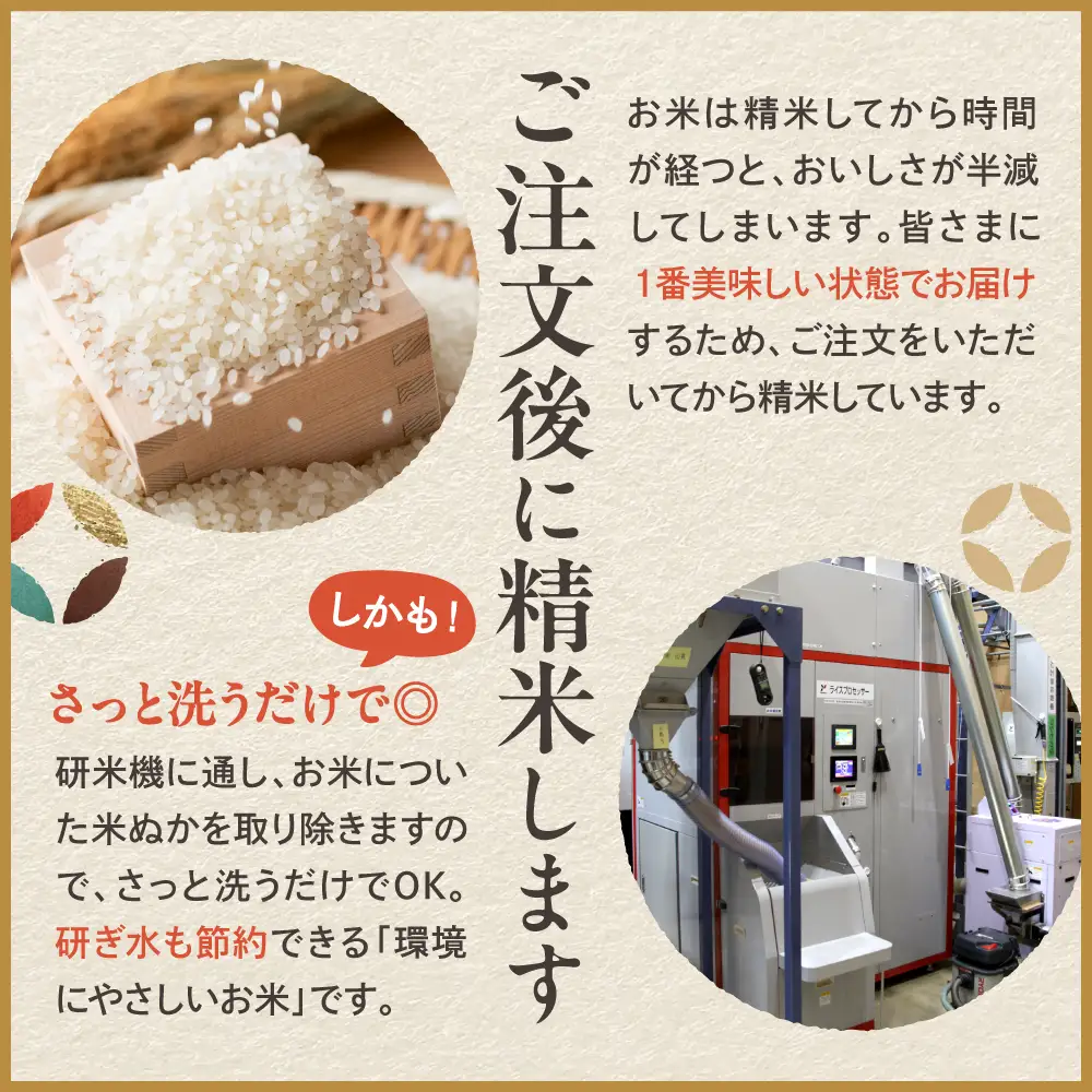 【2026年12月中旬発送】【令和8年産米】新潟県妙高産斐太の里コシヒカリ「旬」5kg