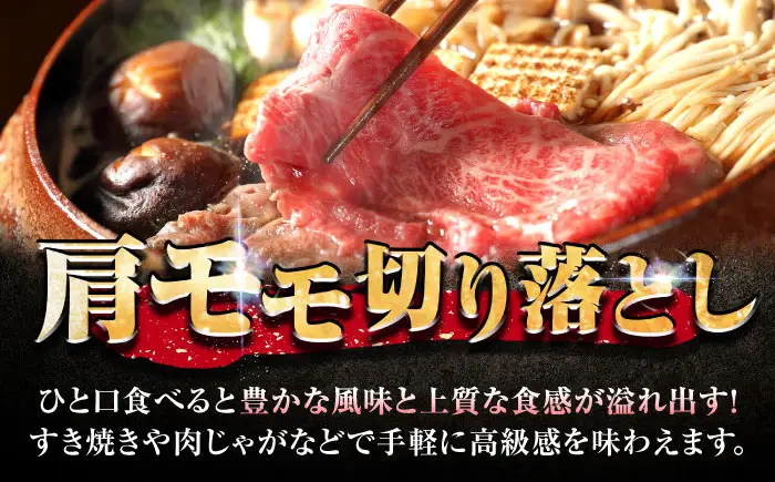 佐賀牛 肩・モモ切り落とし 500g きりおとし A4 A5[FDP019]