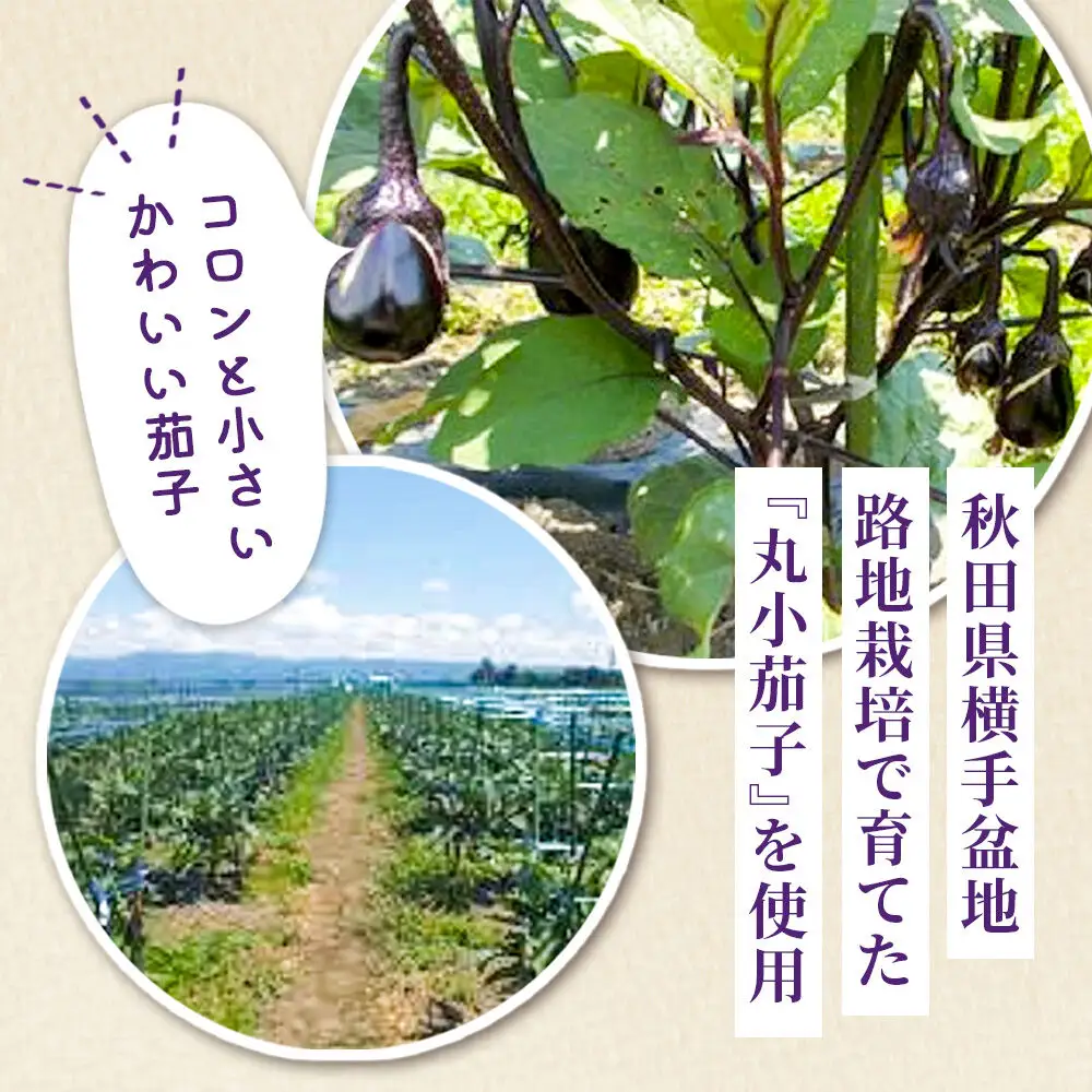 フローズン丸小茄子漬け（玄米こうじ漬け）180g入×7パック