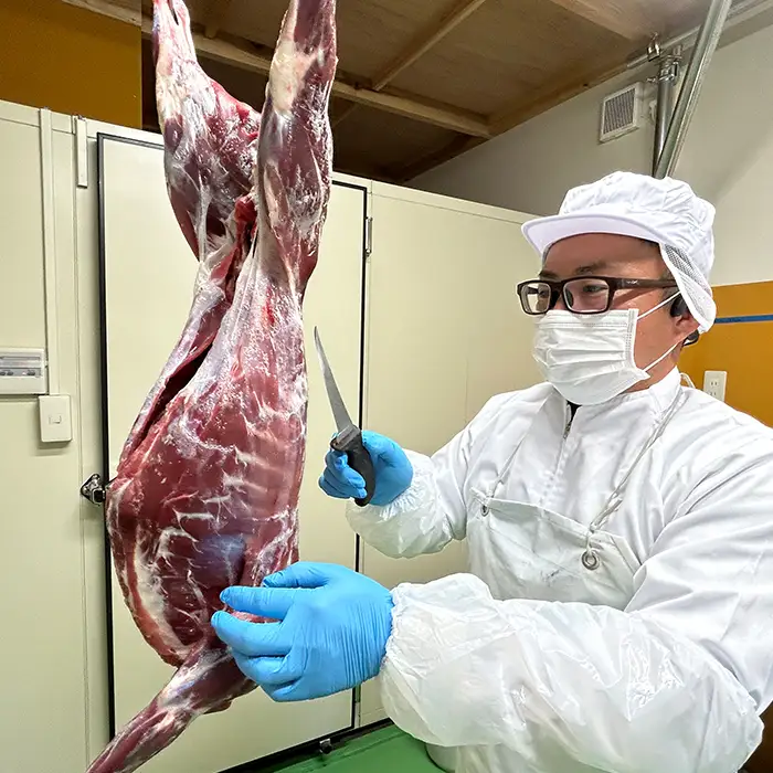 【LA SELVAGGINA KAMOGAWA】猟師の作ったペット用お肉　シカ肉100％ 100g×5個　［0011-0070］