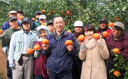 【先行予約】【家庭用】せとか 10kg ※離島への配送不可 （2027年3月5日より順次発送） IKTA038