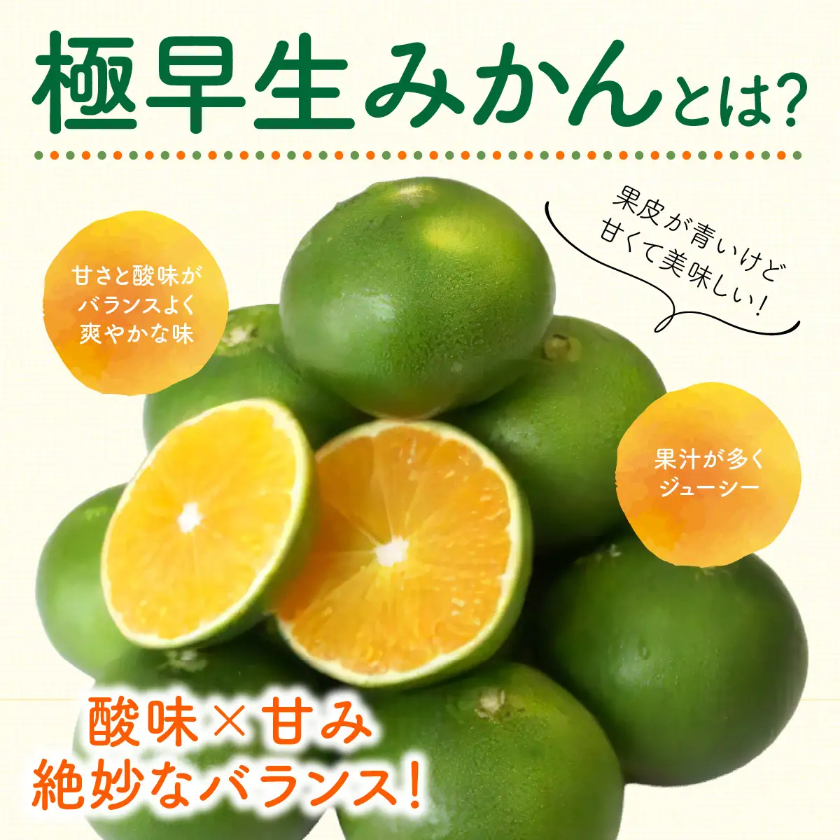 【先行予約】極早生みかん（生果）5kg（2026年9月中旬から発送予定） IKTF001 