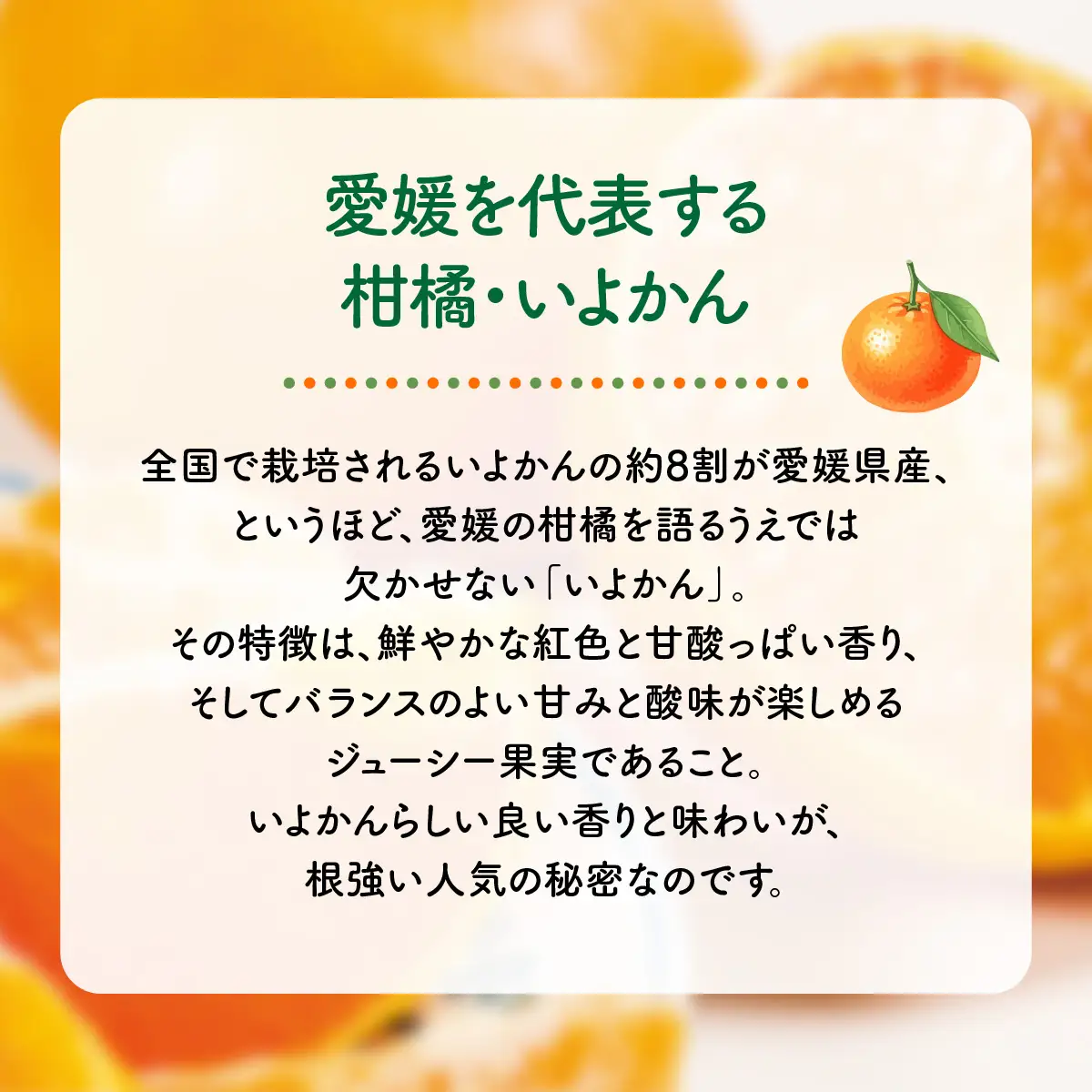【先行予約】産地直送！愛媛県産いよかん 5kg（2027年1月中旬から発送予定） IKTF004