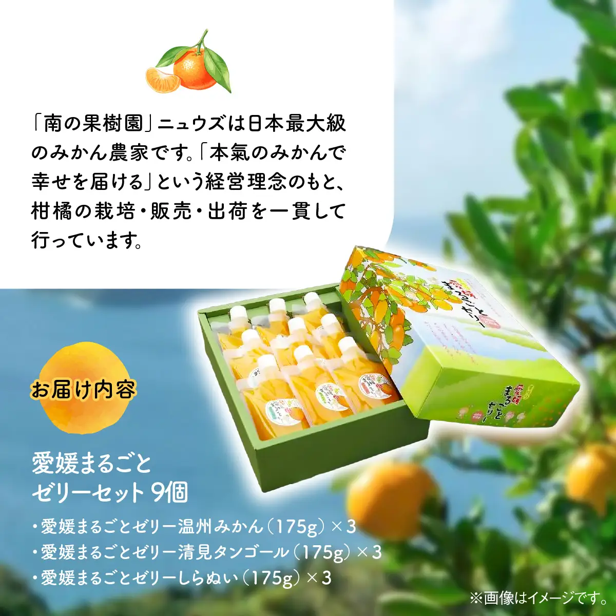 【皮までまるごと国産無添加】愛媛まるごとゼリーセット（9個） IKTF009