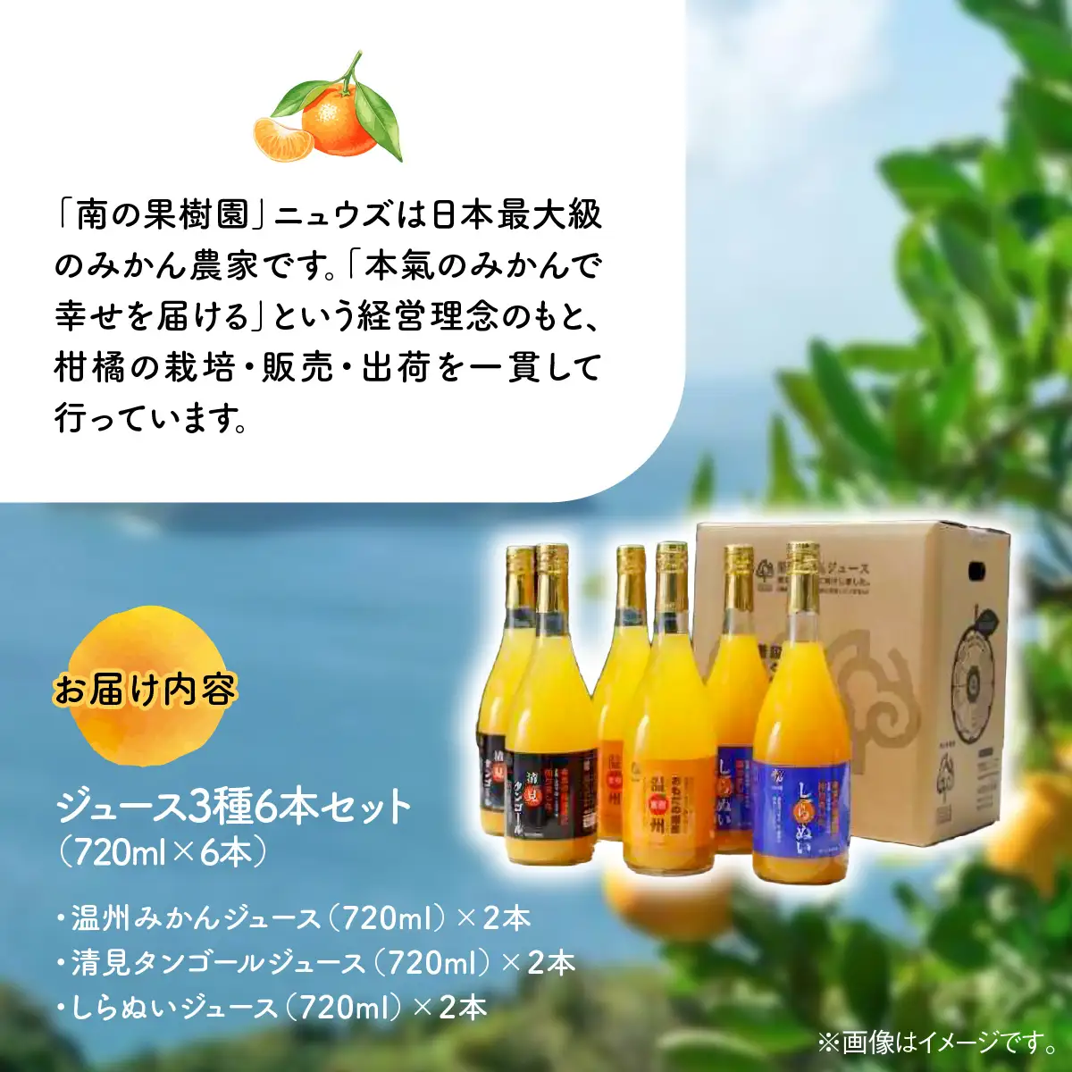 【皮までまるごと国産無添加】ジュース3種6本セット（720ml×6本）  IKTF010