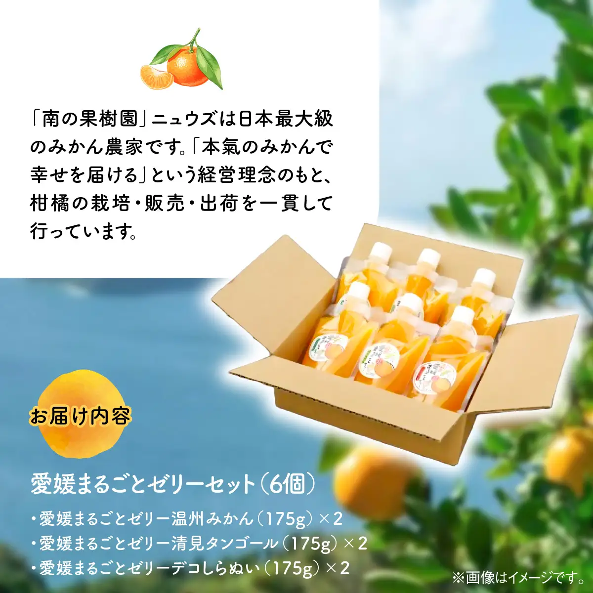 【皮までまるごと国産無添加】愛媛まるごとゼリーセット（6個） IKTF011