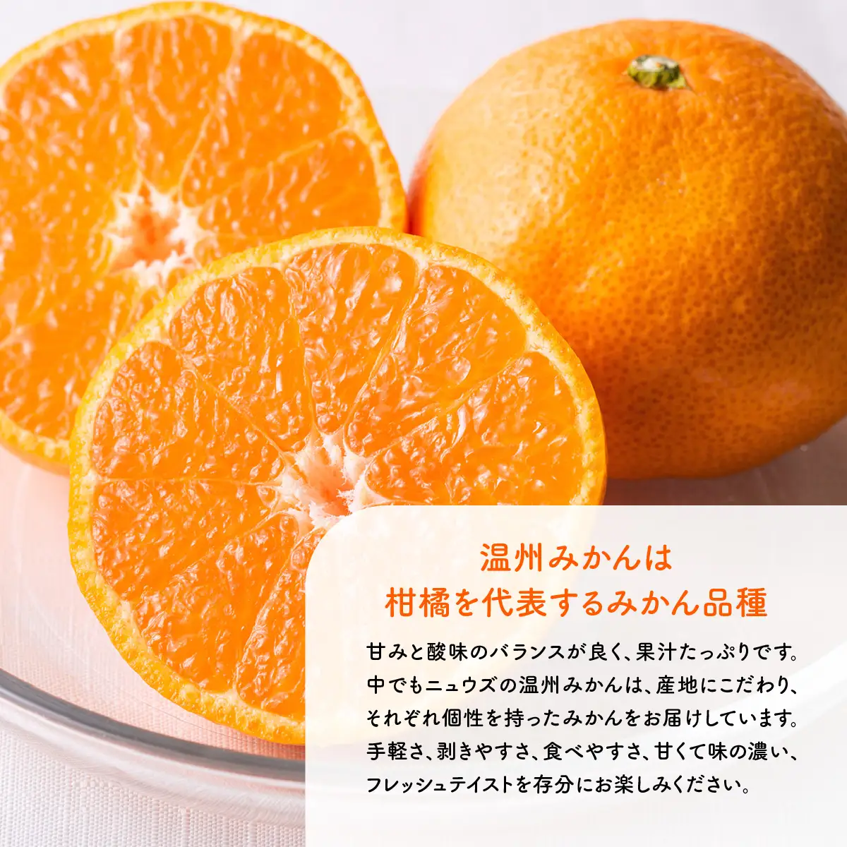 【先行予約】温州みかん（生果）5kg（2026年11月上旬より順次発送） IKTF013