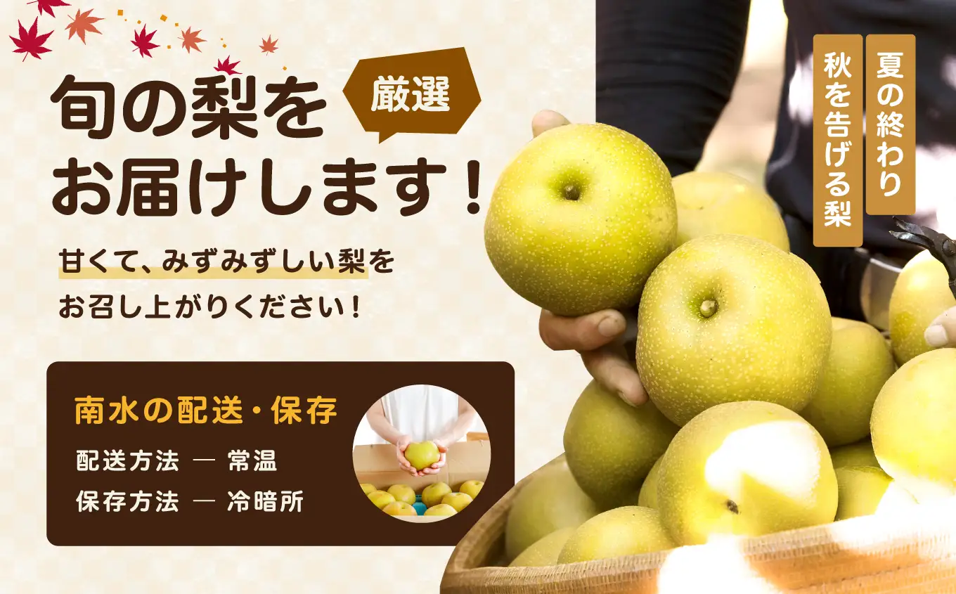 南信州産 梨 南水 約5kg 【2026年9月中旬～発送】