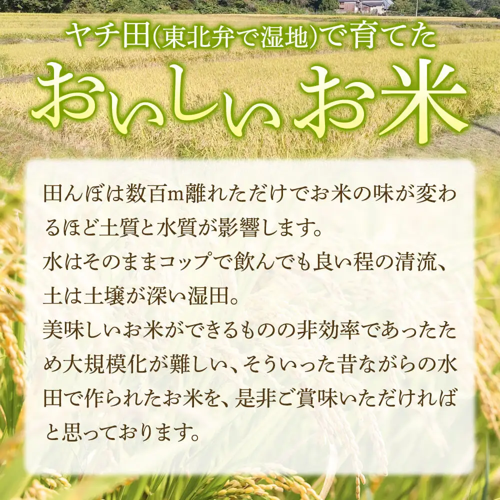 ＜令和8年産新米予約＞米【白米】秋田県産 あきたこまち ヤチ田で育てたお米 精米 10kg