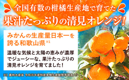【ご家庭用】 清見 オレンジ 約7.5kg オレンジ