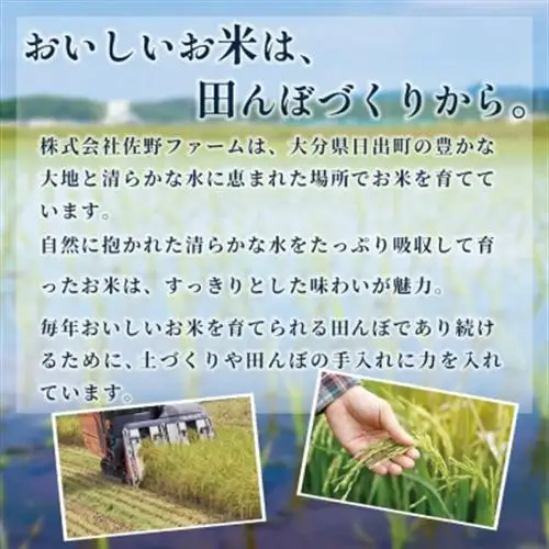 【令和8年産米】恋の予感5kg【1623583】