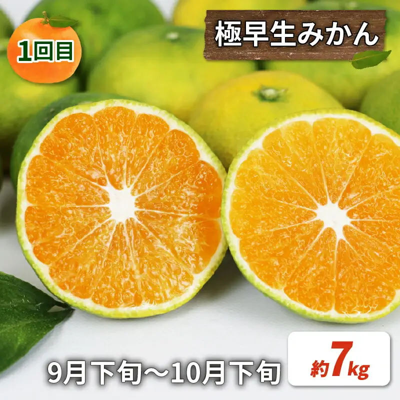 【訳あり 柑橘定期便】 全5回 杉本屋 柑橘定期便 B050-143025