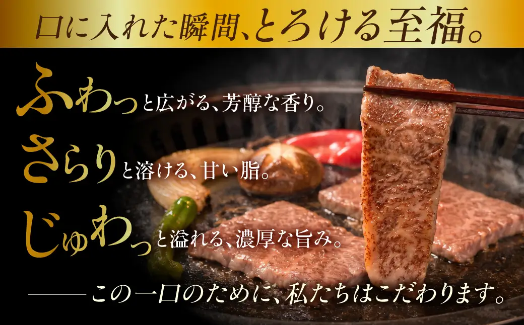 飛騨牛 A5等級 切り落とし 500g | 飛騨牛 ながせ食品 FH025VC13
