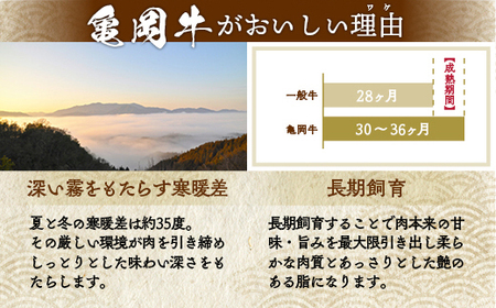 【6回定期便】亀岡牛お楽しみ 牛肉 食べ比べセット 牛肉