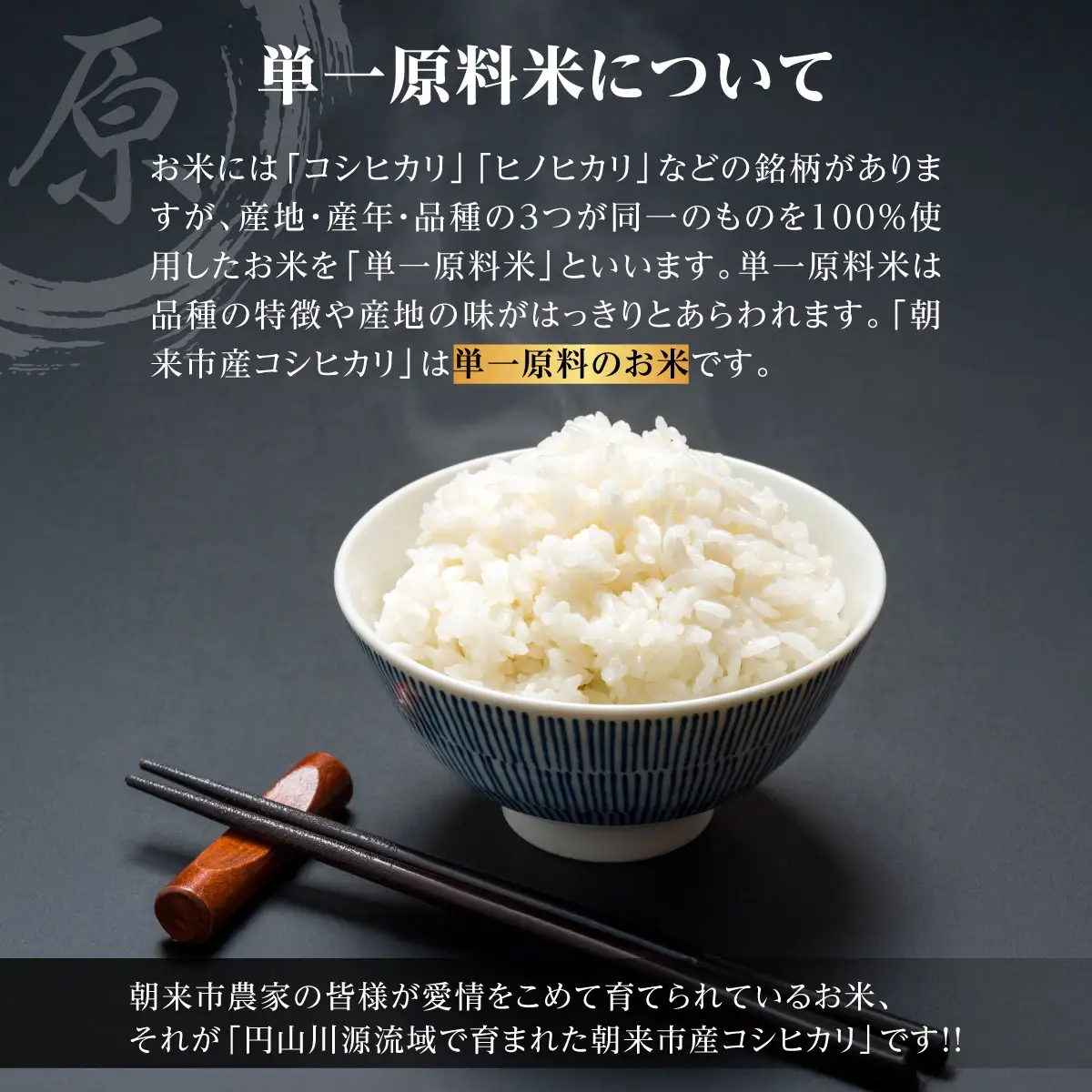 米 白米 R8年産コシヒカリ 5kg