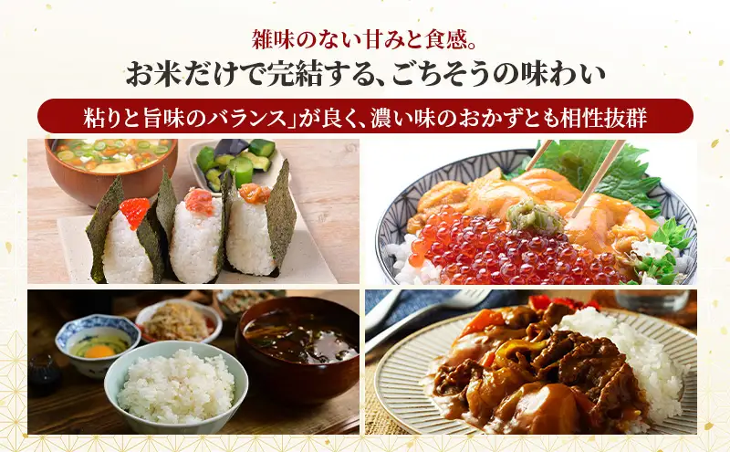 あきたこまち無洗米秋田県産JAこまちあきたこまち【5kg】