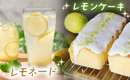 【先行予約】＜天晴レモン 贈答用 約2kg＞ フルーツ 果物 くだもの レモン れもん 檸檬 柑橘 プレゼント 贈り物 お返し お礼 ギフト アレンジ 料理 国産 国産レモン 愛媛県産 特産品 株式会社笑丸 愛媛県 西予市【常温】『2026年9月から順次出荷予定』AAN0046