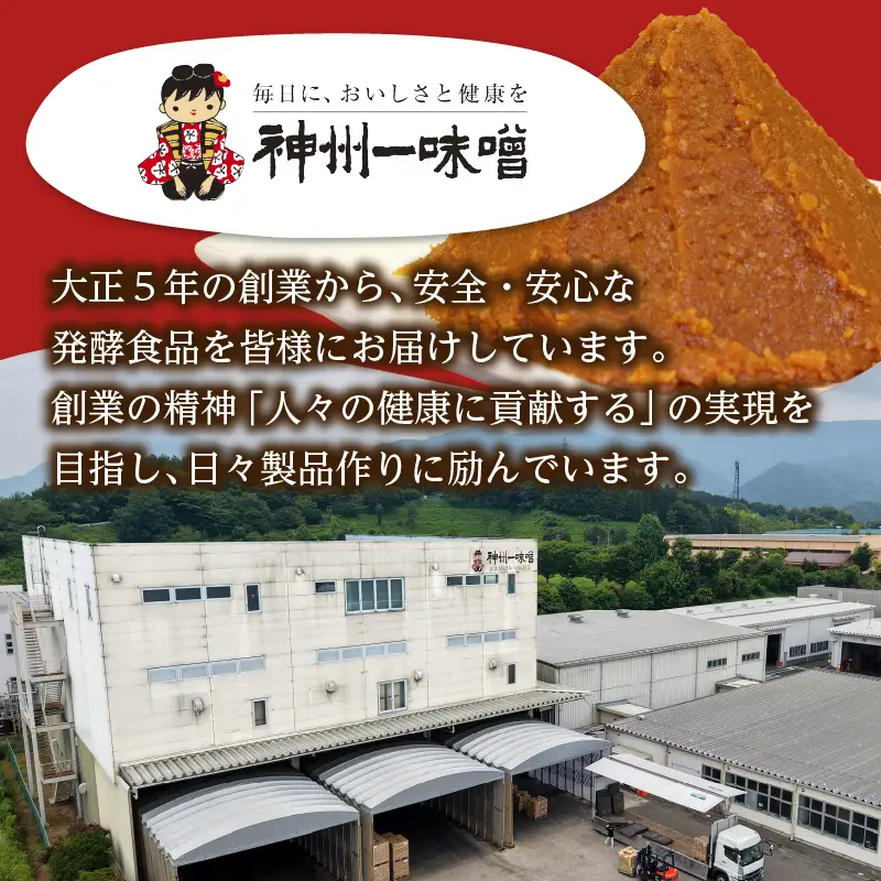 神州一味噌 徳用パック あわせ みそ汁 288食 味噌汁 即席 インスタント