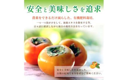 紀州てまり（和歌山県ブランド柿）6～7個入 こだわり農家厳選 先行予約 【2026年10月初旬頃から11月中旬頃順次発送】 / 柿 フルーツ 果物 かき 和歌山 かつらぎ 農家直送 贈答 【kgr029】