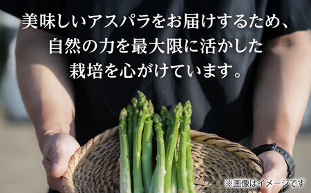 【先行予約】  山鹿の恵み アスパラガス 夏芽　MからLサイズ 1kg【本田仁】[ZFN001]