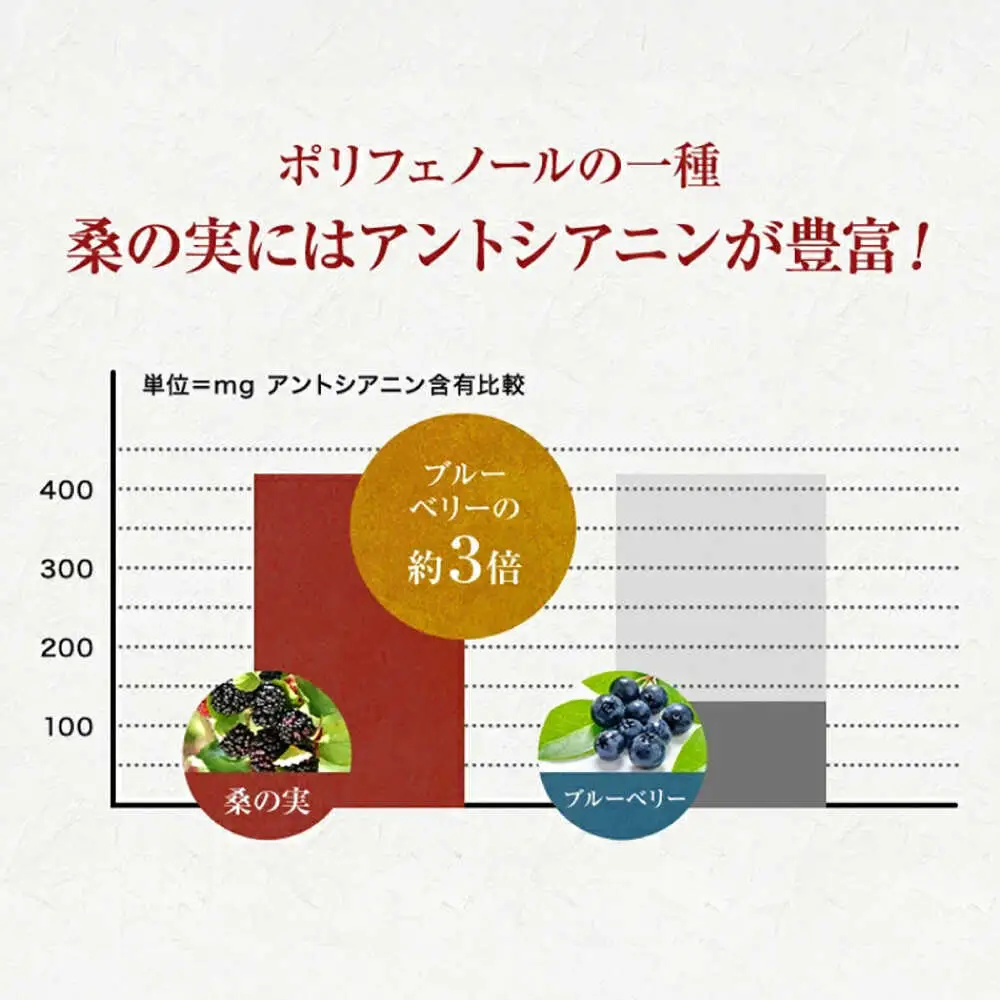 つぶつぶ桑の実 ジャム 2個セット（140g×2）ジャム[AYBM009]