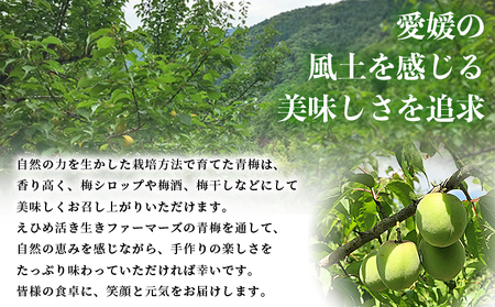 ＜愛媛県西予市産 青梅 約5kg＞ うめ ウメ あおうめ アオウメ 梅干し 梅ジュース 梅ジャム 梅シロップ 梅酒 手作り 家庭用 ご自宅用 えひめ活き生きファーマーズ 愛媛県 西予市【常温】『2026年5月下旬～6月中旬迄に順次出荷予定』SEI0005