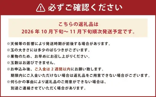 福岡県産ブランドキウイ・甘うぃ 約3kg （24-33玉） キウイ キウイフルーツ 果物 くだもの フルーツ 常温 国産 岡垣町 【2026年10月下旬～12月上旬発送予定】