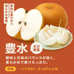 梨 豊水 糖度 14度 以上 約3kg 【2026年月9月上旬～発送】