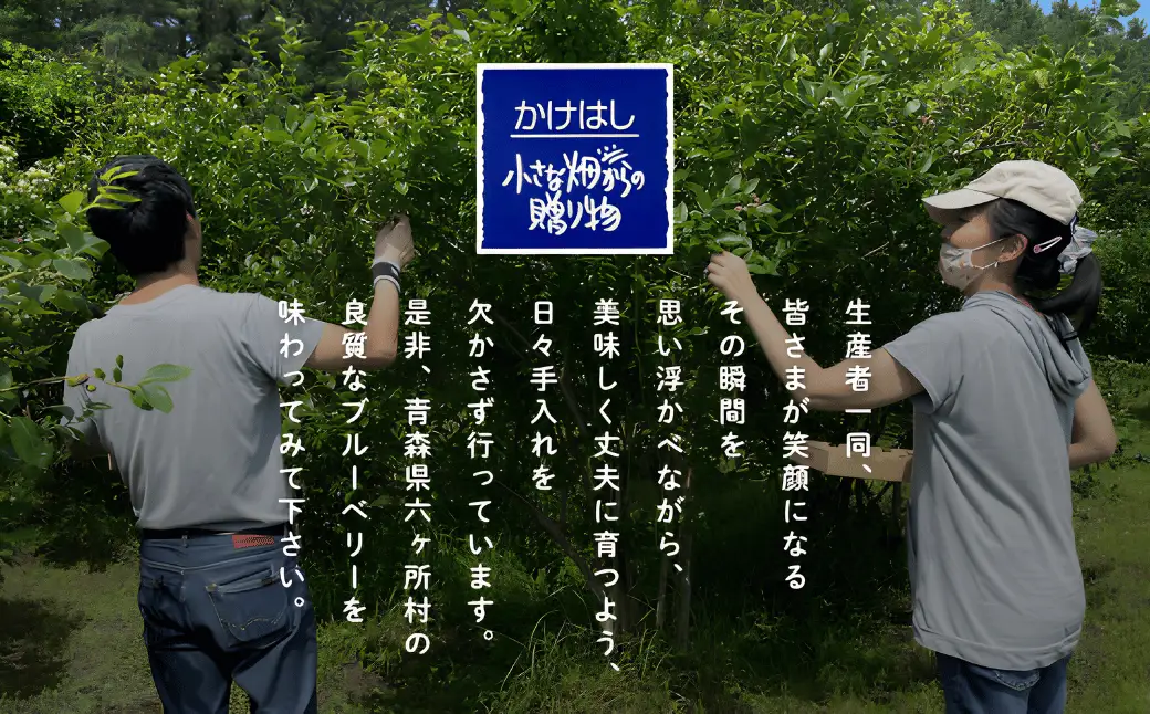 【地元ブランド】ブルーベリー冷凍生実2kg
