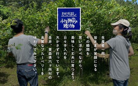 【地元ブランド】ブルーベリーバラエティー2箱セット