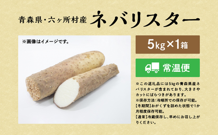 ネバリスター　5kg×1箱