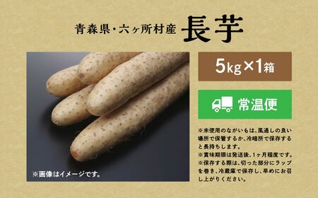 長芋　5kg×1箱