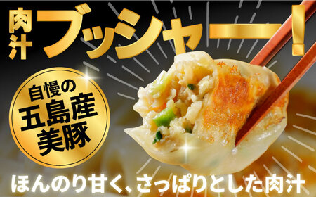 美豚餃子15個入×15袋 五島市/長崎フードサービス[PEL055]