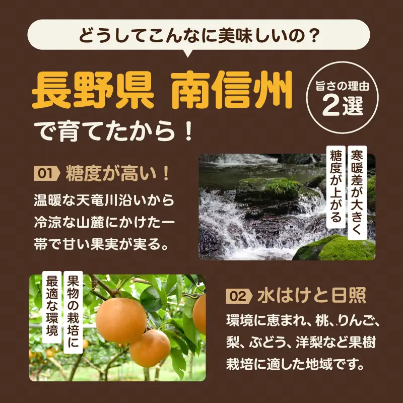 南信州産 訳あり 梨 約3kg 【2026年先行予約】