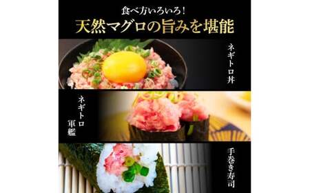 《2ヶ月定期便》天然マグロのタタキ丼セット 65g×6P 